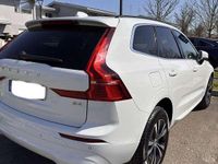 Usata Volvo XC60 Momentum 197 CV (144 kW) 2022 SUV
