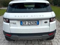 Usata Land Rover Range Rover evoque 150 CV (110 kW) 2013 Bianco SUV