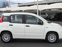 Usata Fiat Panda S 70 CV (51 kW) 2021 Bianco Utilitaria