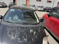 Usata Fiat Grande Punto Dynamic 77 CV (56 kW) 2009 Utilitaria