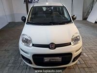 usata Fiat Panda 1.0 firefly hybrid s&s 70cv 5p.ti