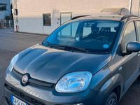Usata Fiat Panda 2020 Berlina