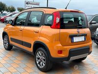Usata Fiat Panda 4x4 86 CV (63 kW) 2017 Zucca pastello 516/a Utilitaria
