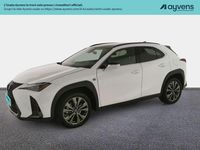 Usata Lexus UX 250h 184 CV (135 kW) 2023 Bianco SUV