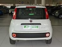 usata Fiat Panda 1.0 - 1.0 70cv hybrid