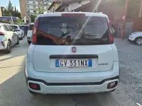 Usata Fiat Panda Cross Cross 69 CV (50 kW) 2024 Bianco Utilitaria