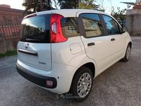 Nuova Fiat Panda Icon 70 CV (51 kW) 2025 Bianco Utilitaria
