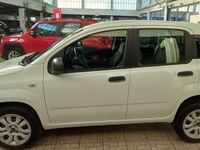Usata Fiat Panda Easy 84 CV (61 kW) 2019 Bianco Berlina