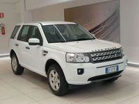 usata Land Rover Freelander 2.2 SD4 S.W. S del 2010 usata a Savona