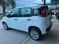 usata Fiat Panda METANO