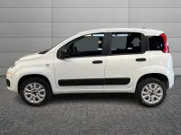 Usata Fiat Panda 4x4 Pop 84 CV (61 kW) 2020 Bianco Utilitaria