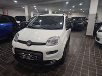 Usata Fiat Panda City Life 71 CV (52 kW) 2023 Alpine white Utilitaria