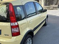 Usata Fiat Panda Dynamic 60 CV (44 kW) 2008 Utilitaria