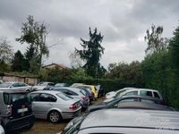 Usata Fiat Punto 80 CV (58 kW) 2009 Utilitaria