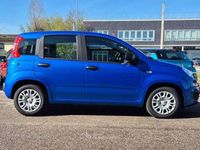Nuova Fiat Panda S 69 CV (50 kW) 2025 Blu italia Utilitaria