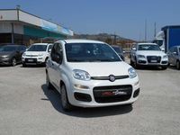 Usata Fiat Panda Easy 69 CV (50 kW) 2020 Bianco Utilitaria