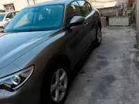 Usata Alfa Romeo Stelvio 2019 Marrone SUV