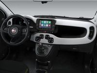 Nuova Fiat Panda Cross Cross 70 CV (51 kW) 2026 Giallo Utilitaria