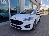 Nuova Ford Kuga ST-Line 150 CV (110 kW) 2025 Bianco SUV