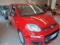 Usata Fiat Panda Easy 69 CV (50 kW) 2019 Rosso Utilitaria