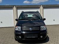 Usata Fiat Panda 60 CV (44 kW) 2006 Nero Utilitaria