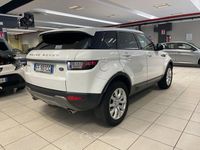 Usata Land Rover Range Rover evoque SE 150 CV (110 kW) 2016 Bianco SUV