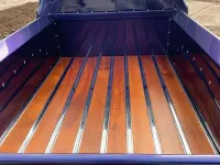 Usata Ford F100 1950 Blu Pick-up