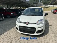 Nuova Fiat Panda Icon 69 CV (50 kW) 2026 Bianco Utilitaria