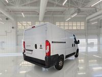 Usata Fiat Ducato 116 CV (85 kW) 2019 Bianco Furgone