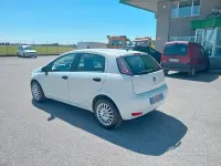 Usata Fiat Punto 75 CV (55 kW) 2013 Bianco Utilitaria