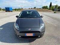 Usata Fiat Punto Lounge 75 CV (55 kW) 2015 Grigio Utilitaria