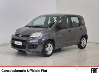 Usata Fiat Panda Easy 69 CV (50 kW) 2019 Grigio Utilitaria
