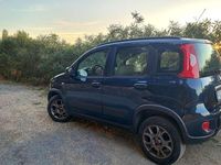 Usata Fiat Panda 4x4 75 CV (55 kW) 2015 Blu/azzurro Utilitaria