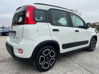 Usata Fiat Panda Cross Cross 70 CV (51 kW) 2022 Bianco Utilitaria