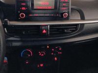 Usata Kia Picanto 67 CV (49 kW) 2019 Bianco Utilitaria