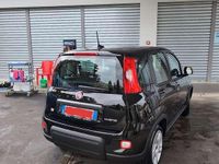 Usata Fiat Panda S 69 CV (50 kW) 2023 Utilitaria