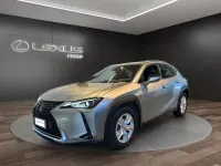 Usata Lexus UX 250h Business Edition 184 CV (135 kW) 2022 Sonic titanium met SUV