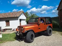 Usata Jeep CJ 1981 Marrone SUV
