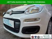 Nuova Fiat Panda Pop 69 CV (50 kW) 2026 Bianco Utilitaria