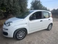 Usata Fiat Panda 2017 Bianco Utilitaria