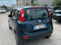Usata Fiat Panda Lounge 80 CV (58 kW) 2017 Bluazzurro Utilitaria