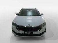 Usata Skoda Octavia Executive 150 CV (110 kW) 2024 Bianco Station wagon