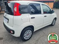 Usata Fiat Panda 80 CV (58 kW) 2018 Bianco Utilitaria