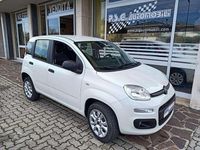Usata Fiat Panda Easy 85 CV (62 kW) 2018 Bianco Utilitaria