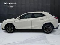 Usata Lexus UX 250h Sport Line 184 CV (135 kW) 2021 Bianco SUV