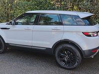Usata Land Rover Range Rover evoque 150 CV (110 kW) 2012 Bianco SUV