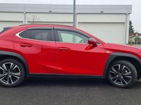 Usata Lexus UX 250h 184 CV (135 kW) 2023 Rosso SUV