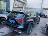 Usata Lexus NX300h Business Edition 155 CV (114 kW) 2017 SUV