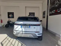 Usata Land Rover Range Rover evoque SE 163 CV (119 kW) 2021 Bianco SUV