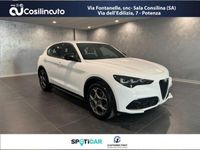 usata Alfa Romeo Stelvio 2.2 Turbodiesel 210 CV AT8 Q4